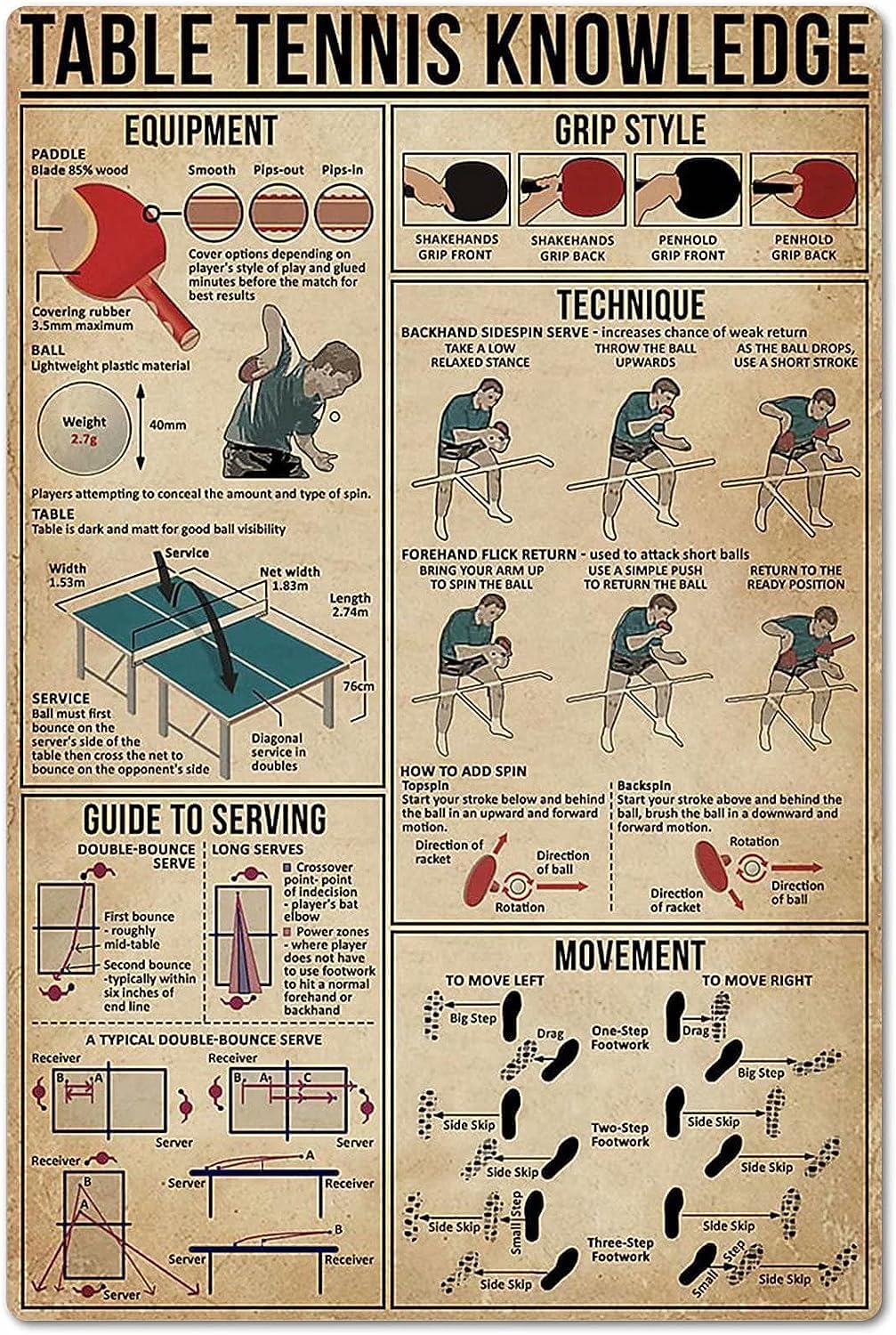 Table Tennis Knowledge Poster  - Table Tennis Knowledge Poster 评论和价格